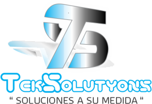 logo TEKSOLUTYONS png