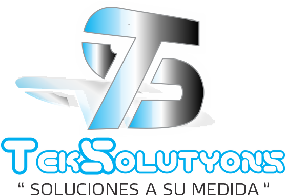 logo TEKSOLUTYONS png
